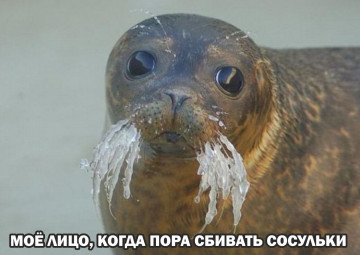 Друзья! Сейчас наступило опасное время, когда сосульки образуются буквально за несколько часов!