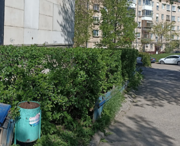 Декаротивная опиловку кустов
