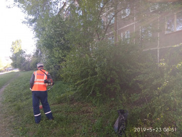 Дело есть у нас -  В самый жуткий час  Мы волшебную  Косим трын-траву!