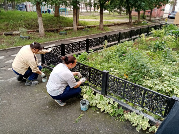 Покраска ограждений палисадников Гвардейская 4