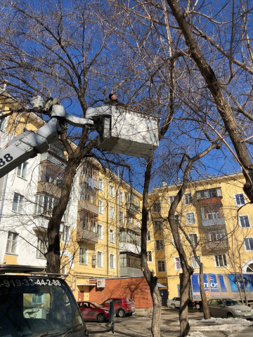 📌Проведение опиловки и утилизация отходов по адресу Автозаводцев 39