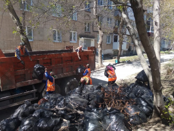Вывоз мусора после проведенных субботников
