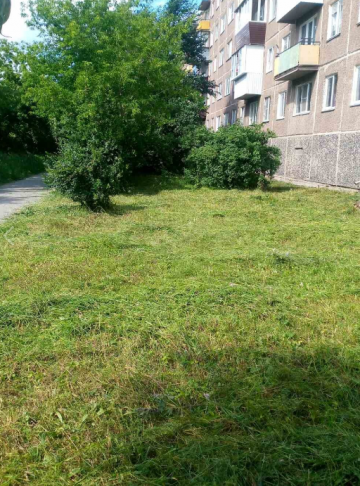 Скос травы