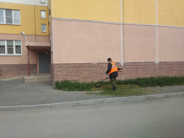 Покос травы