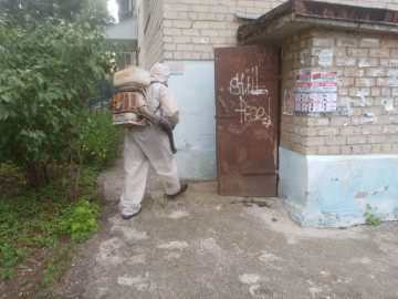 Операция "ликвидация"🙂 Проведение дезинсекции подвальных помещений.⚠