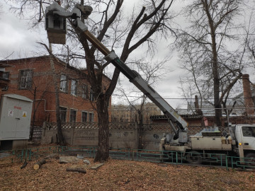 Опиловка деревьев🌳
